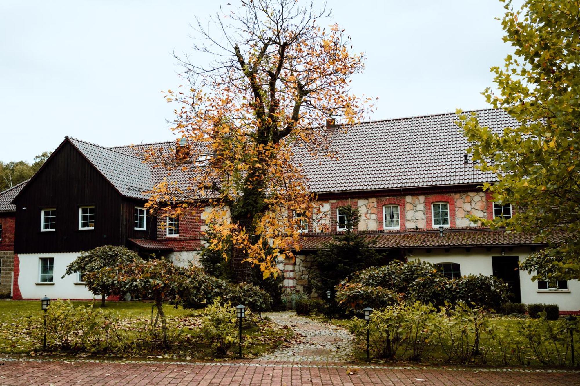 Villa Na Uboczu Gryfów Śląski Exterior foto