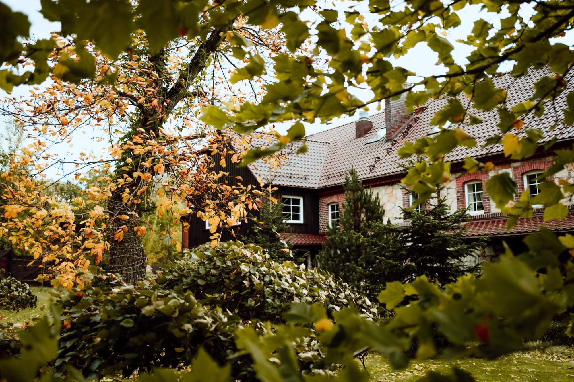Villa Na Uboczu Gryfów Śląski Exterior foto
