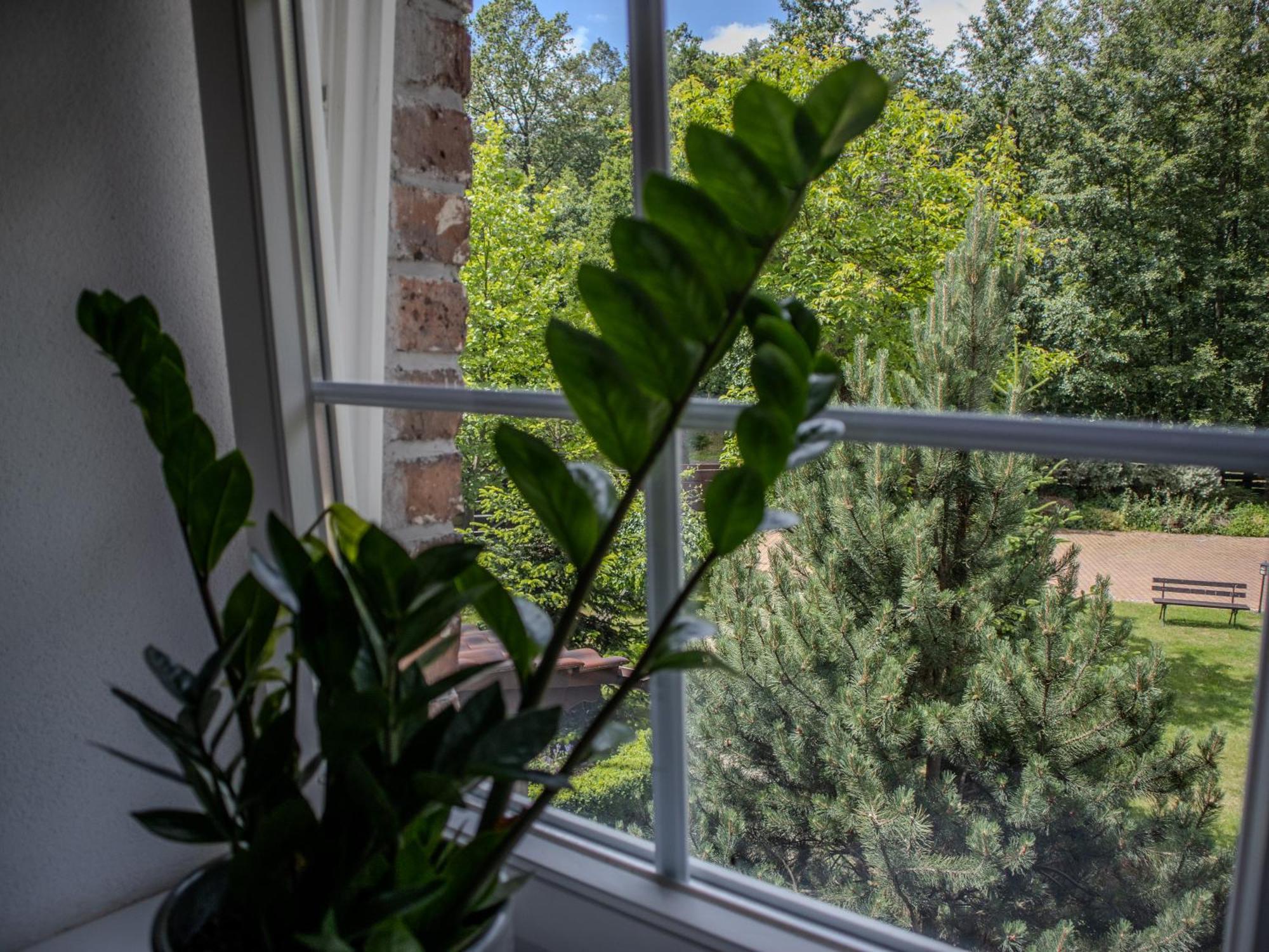 Villa Na Uboczu Gryfów Śląski Habitación foto